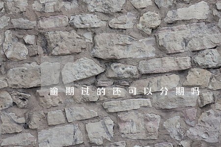 逾期过的还可以分期吗 逾期过的还可以分期吗