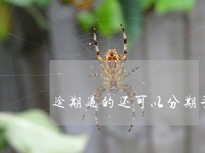 逾期过的还可以分期手机吗 逾期过的还可以分期手机吗