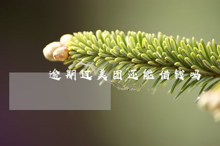 逾期过美团还能借钱吗 逾期过美团还能借钱吗