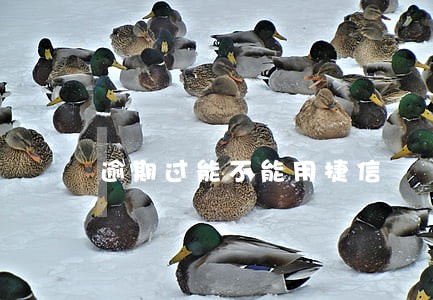 逾期过能不能用捷信 逾期过能不能用捷信