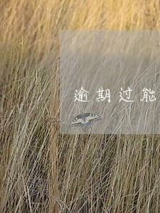 逾期过能借出来的小贷 逾期过能借出来的小贷