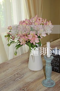 逾期过能办什么信用卡 逾期过能办什么信用卡