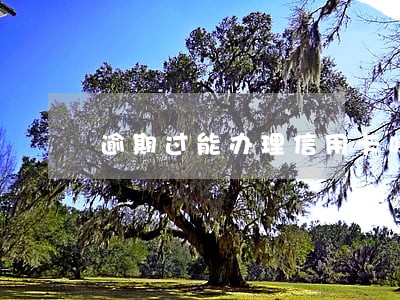 逾期过能办理信用卡吗 逾期过能办理信用卡吗