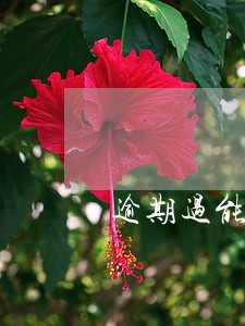 逾期过能办理车贷吗 逾期过能办理车贷吗