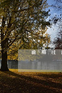 逾期过能办营业执照吗 逾期过能办营业执照吗