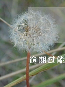 逾期过能在办信用卡么