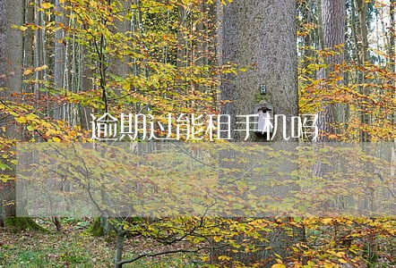 逾期过能租手机吗 逾期过能租手机吗