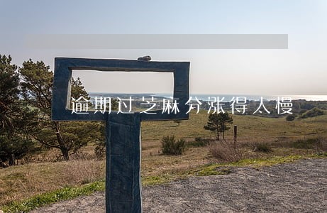 逾期过芝麻分涨得太慢
