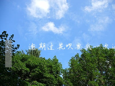 逾期过花呗要我一次还清 逾期过花呗要我一次还清