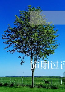 逾期过评估过低怎么恢复 逾期过评估过低怎么恢复