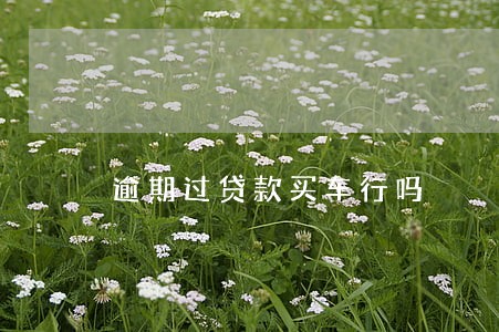 逾期过贷款买车行吗 逾期过贷款买车行吗