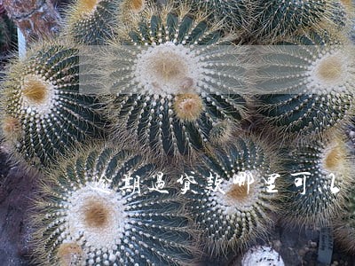 逾期过贷款哪里可以 逾期过贷款哪里可以