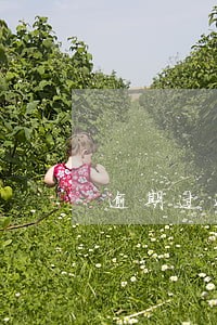 逾期过还可以分期买手机吗 逾期过还可以分期买手机吗