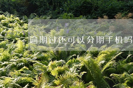 逾期过还可以分期手机吗 逾期过还可以分期手机吗
