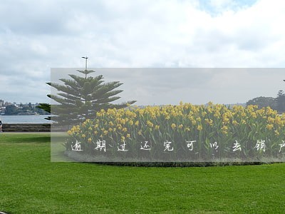 逾期过还完可以去销户么 逾期过还完可以去销户么
