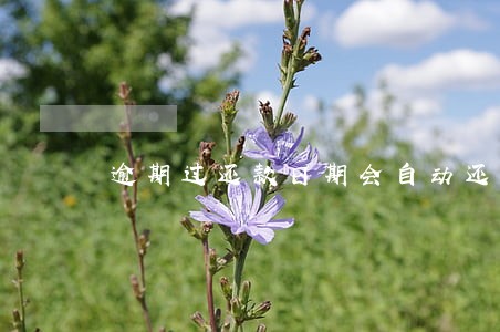 逾期过还款日期会自动还款吗 逾期过还款日期会自动还款吗