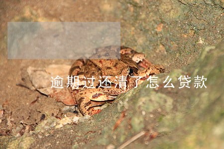 逾期过还清了怎么贷款 逾期过还清了怎么贷款