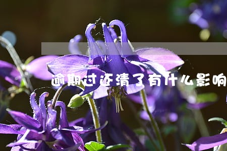 逾期过还清了有什么影响 逾期过还清了有什么影响
