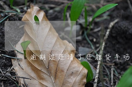 逾期过还清了还能贷车吗 逾期过还清了还能贷车吗