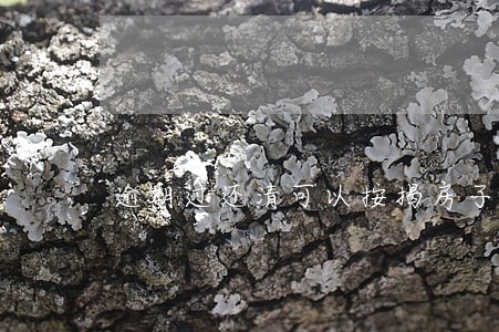 逾期过还清可以按揭房子吗
