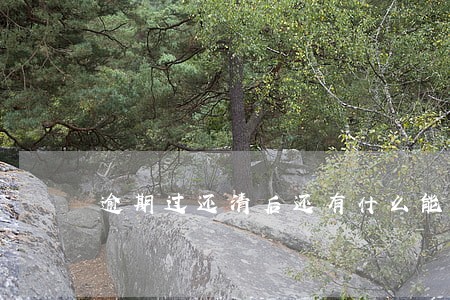逾期过还清后还有什么能借款 逾期过还清后还有什么能借款