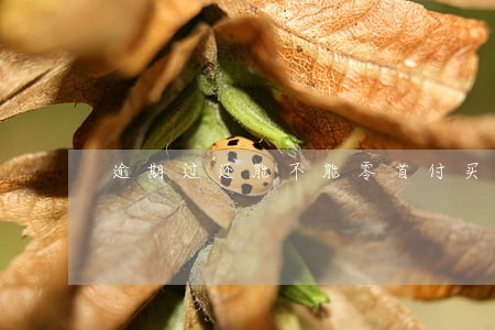 逾期过还能不能零首付买车 逾期过还能不能零首付买车
