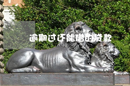 逾期过还能借的贷款 逾期过还能借的贷款