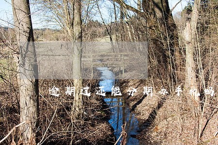 逾期过还能分期办手机吗 逾期过还能分期办手机吗