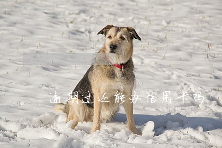 逾期过还能办信用卡吗 逾期过还能办信用卡吗