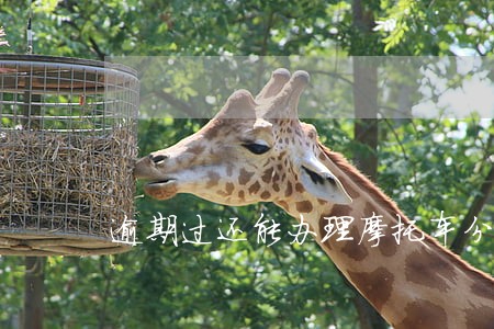 逾期过还能办理摩托车分期吗 逾期过还能办理摩托车分期吗