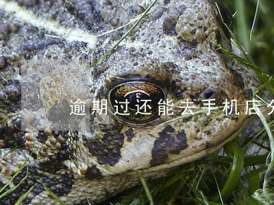 逾期过还能去手机店分期吗 逾期过还能去手机店分期吗