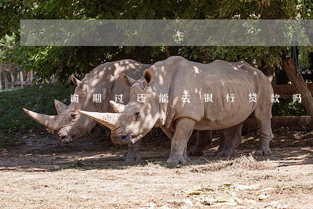 逾期过还能去银行贷款吗 逾期过还能去银行贷款吗
