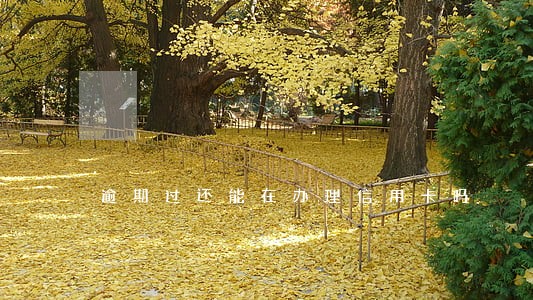 逾期过还能在办理信用卡吗