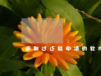 逾期过还能申请的软件 逾期过还能申请的软件