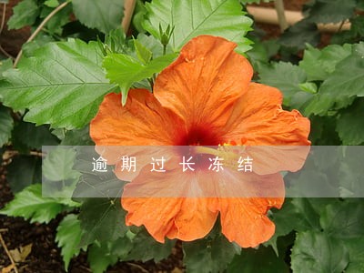 逾期过长冻结 逾期过长冻结