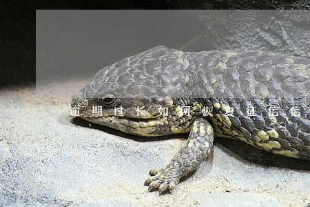 逾期过长如何恢复征信信用 逾期过长如何恢复征信信用