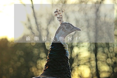 逾期过长的客户 逾期过长的客户