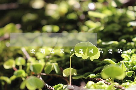 逾期过黑户还阔以贷款吗
