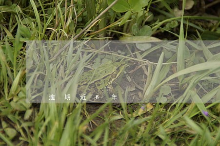 逾期近6年 逾期近6年