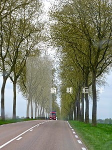 逾期近半年不得三次 逾期近半年不得三次