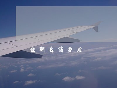 逾期返售费用 逾期返售费用