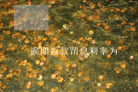 逾期返款罚息利率为 逾期返款罚息利率为