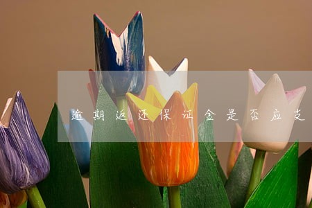逾期返还保证金是否应支付利息 逾期返还保证金是否应支付利息