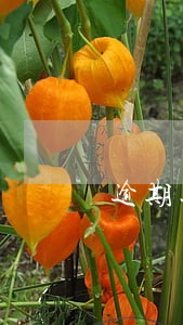逾期返还利息年利率 逾期返还利息年利率