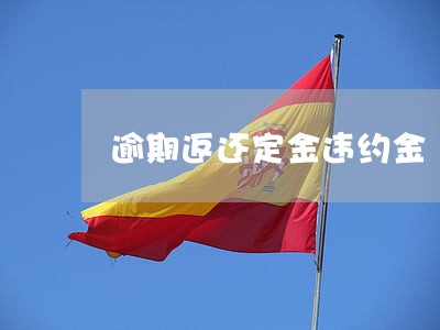 逾期返还定金违约金 逾期返还定金违约金