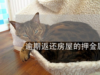 逾期返还房屋的押金属于违约 逾期返还房屋的押金属于违约