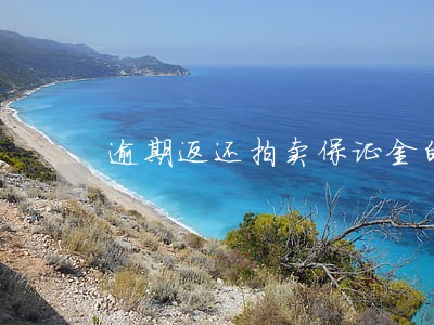 逾期返还拍卖保证金的规定
