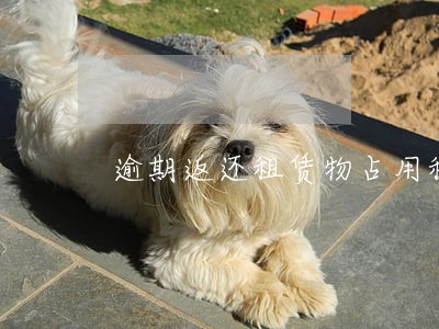 逾期返还租赁物占用租赁物 逾期返还租赁物占用租赁物
