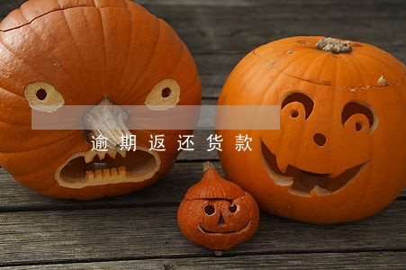 逾期返还货款 逾期返还货款