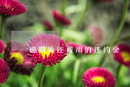 逾期返还费用的违约金 逾期返还费用的违约金